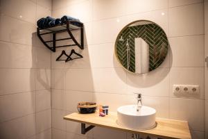 BlesdijkeNatuur lodge的一间带水槽和镜子的浴室