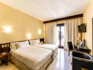 托莱多赛尔科特尔阿方索六世酒店的酒店客房设有一张大床和一台电视。