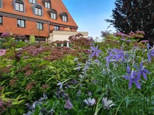 科尔马欧洲酒店的一座花园,在一座建筑前种有紫色花卉