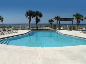 巴拿马城海滩Boardwalk Beach Hotel的一座棕榈树和海洋的大型游泳池