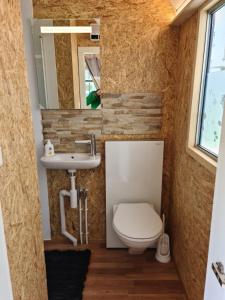 TraversLa roulotte的一间带卫生间和水槽的浴室