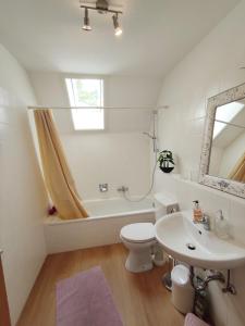 EnnerbachBlack Forest Living - Todtnauberg的浴室配有盥洗盆、卫生间和浴缸。