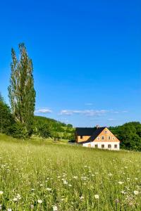 Víchová nad JizerouDead Fox Chalupa na samotě的草场,有房子的背景