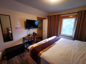 班夫Riverfront Estate Bed&Breakfast Banff的一间卧室配有一张床、一台电视和一个窗口