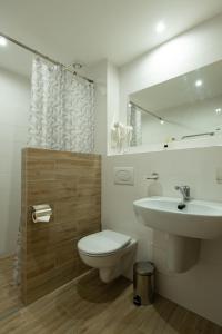 德鲁斯基宁凯Senasis Nemunas的一间带水槽、卫生间和镜子的浴室