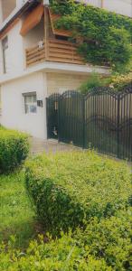 科斯蒂内什蒂Vita de vie estival的房屋前的黑色围栏