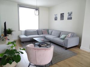 马斯梅赫伦Vakantiewoning Mèzik的客厅配有沙发和粉红色椅子