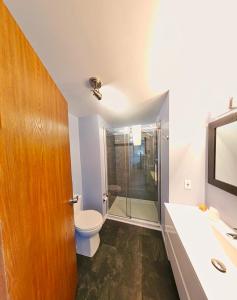 塞特福德矿城奥维克斯弗朗特纳克汽车旅馆的一间带卫生间和玻璃淋浴间的浴室