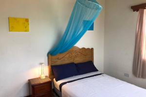 格罗斯岛Delightful 4bed modern villa with WiFI的一间卧室配有一张蓝色天蓬床