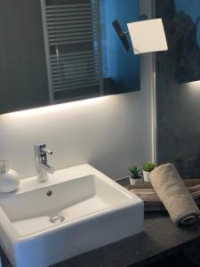 哈勒古斯托住宿加早餐旅馆的浴室设有白色水槽和镜子