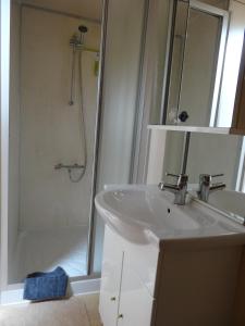 Merkem帕林特公寓的白色的浴室设有水槽和淋浴。