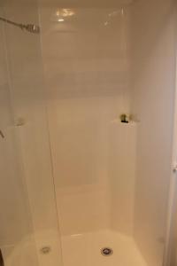 VentnorOMARU FARM STAY的带淋浴的浴室内的白色淋浴