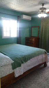 博卡斯德尔托罗Nicol Aparment的一间卧室设有一张大床和一个窗户。