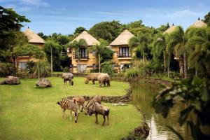克拉玛斯马拉河野外巴厘旅馆的一群斑马和 ⁇ 牛站在房子附近的田野上