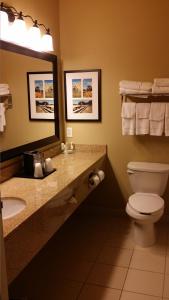 迈诺特迈诺特乡村酒店及套房的一间带卫生间、水槽和镜子的浴室