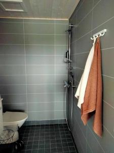 AlatemmesB&B Villa Helmi的带淋浴、卫生间和毛巾的浴室