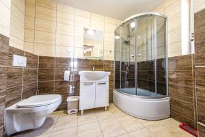 奥尔什丁Stara Piekarnia - Plac Lotników的浴室配有卫生间、盥洗盆和淋浴。