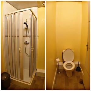 圣让皮耶德波尔Gîte BIDEAN的浴室设有卫生间和淋浴,两幅图片