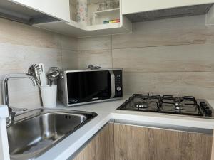 奥特朗托Tenuta l'Alba di Monte Matino - Mobil Home的厨房柜台设有水槽和微波炉