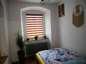 斯雷布纳古拉Srebrnogórski Zakątek的一间卧室设有窗户、一张床和散热器