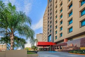 蒙特雷CHN Hotel Monterrey Centro, Trademark Collection by Wyndham的一座建筑前的棕榈树