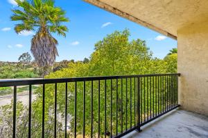 阿罗约格兰德阿罗哈旅馆的享有棕榈树景致的阳台