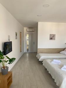 巴什卡沃达Apartments Adria的一间设有三张床的房间和盆栽
