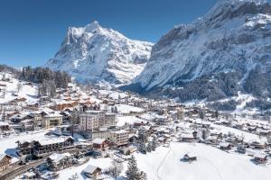格林德尔瓦尔德瑞士丽城优质酒店的一座被雪覆盖的小镇,背景是一座山