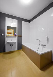 新比斯特日采布兰科旅馆的带浴缸和盥洗盆的浴室