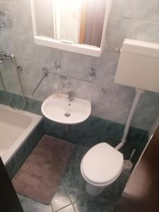 SemičApartma Gače的浴室配有白色卫生间和盥洗盆。