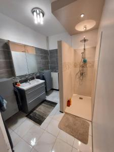 Saint-Juéry-les-AzalateAPPART ALBI 120 m2的大型浴室设有水槽和淋浴。