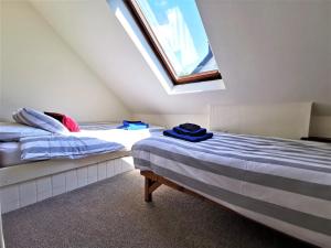 LlanfyrnachWellstone Cottages - Honeysuckle的带窗户的客房内的两张床