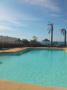 埃斯库约斯帕莱索农庄酒店的一座种植了棕榈树和大海的大型蓝色游泳池