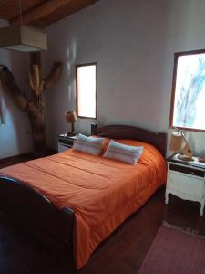 阿迈查德尔瓦勒Apapachar的一间卧室配有一张带橙色床罩的床