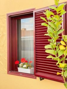 科拉雷侯Habitación Privada + Baño Privado en la vivienda的窗户上装有鲜花的红色百叶窗