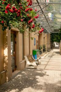 索非亚尼奇酒店 的坐在红花建筑旁边的人行道上的长凳