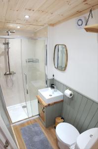 KilmoreCoorie In的带淋浴、盥洗盆和卫生间的浴室