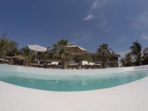 索里托斯竹苑酒店的一个带椅子和遮阳伞的大型游泳池