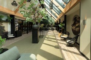卢特伦Hotel de Werelt的建筑里带椅子和植物的走廊