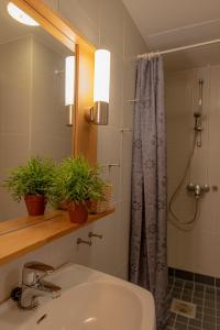 NakkilaHotelli Verstas的浴室配有盥洗盆和带镜子的淋浴