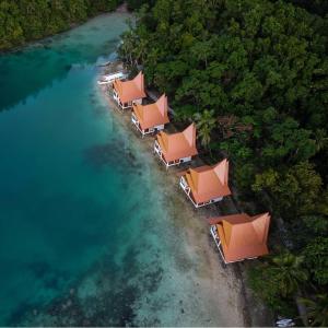 索科鲁塔拉岛度假村俱乐部酒店的一群椅子在海滩上