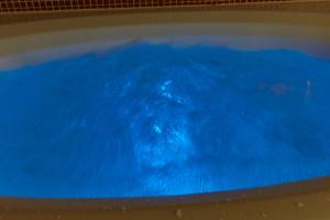 名古屋HOTEL LOVE的狗在蓝色的海水中游泳