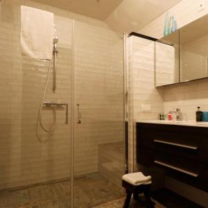 巴克瑟姆B&B Bergheide的带淋浴和盥洗盆的浴室