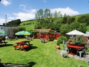 Llanfihangel-nant-MelanThe Red Lion Country Inn, B&B, Llew Coch B&B的相册照片