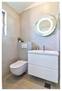 普利莫顿Apartment Jerko 2的一间带卫生间、水槽和镜子的浴室