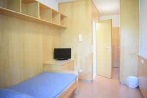 林茨城市索维亚酒店的一间带床和电视的小卧室