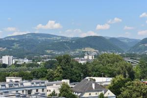 林茨城市索维亚酒店的享有以山脉为背景的城市美景