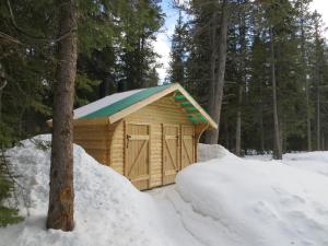 路易斯湖HI Mosquito Creek - Wilderness Hostel的雪中带蓝色屋顶的木制棚子