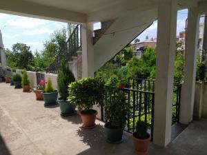 萨尔皮White House Avtandil&Nino的阳台上一排盆栽植物,有楼梯