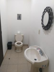 洛雷托Loreto La Regional的一间带水槽、卫生间和镜子的浴室